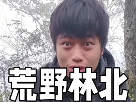 第1002问:为什么荒野林北能红?#荒野求生 #张家界 #林北