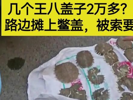 几个王八盖子2万多?车主压到路边摊上的鳖盖,被索要天价赔偿#诈骗