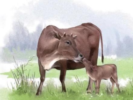 《父爱之舟》何捷老师备课教学指导#小学语文 #干货分享 #名师课堂 #语文 #分享经验