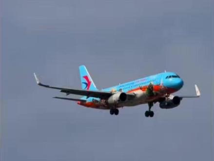 这个飞机我兄弟买得起吗?这是东方航空A320动物城 #飞机模型 #彩绘飞机 #A320 #礼物推荐 #桌面摆件