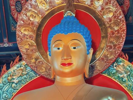 EP16:寻访存有佛牙舍利的寺院,八大处灵光寺。#寻访999座寺院 #虚空娑婆 #平安喜乐诸事顺遂 #一座寺就是一座城