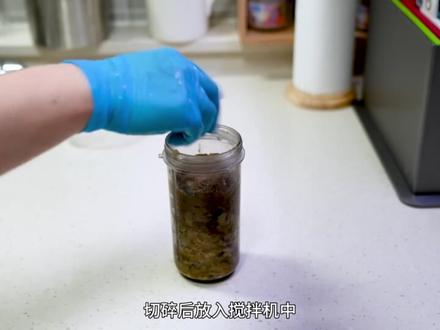 在家养牡丹虾宝宝,钓到深海发光的鱿鱼喂给小虾吃,太好吃了#奇妙的动物 #知识科普 #水族 #养虾 #养鱼日记