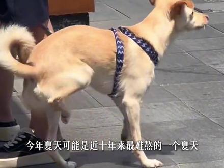 从35℃到40℃!20个重点城市高温地图,你的城市在第几波? #高温 #抖音精选