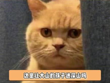 大学生替高中生高考,你要不看看你在说什么 #高考 #大学生