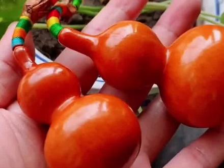 #创作灵感 #好物推荐🔥 #葫芦 教你如何盘葫芦#万物皆可盘