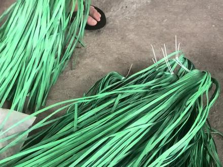 很多粉丝问我甲鱼苗池里放的是什么,在哪买的!其实这就是普通绑带绳子,我们在镇上买的,具体网上有没有你们自己搜下哈!#甲鱼养殖 #帆布池甲鱼养殖 #高密度水产养殖 #养殖基地日常 #养殖人日常分享