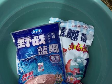 蓝鲫+蓝鲫青春版组合居然有这效果?! #钓鱼 #爆护饵料