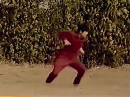 戳脚大师张福生展示功夫传武真的是杀人技#格斗#武术#搏击