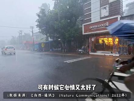 气温直冲 50℃,印度为啥深陷极端气候困境? #抖音精选 #印度 #高温 #历史 #国际史