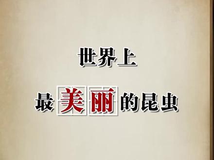 世界上最美丽的昆虫,你最喜欢哪一只呢?@抖音小助手