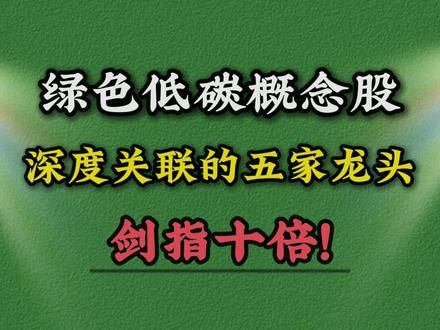 绿色低碳五家龙头