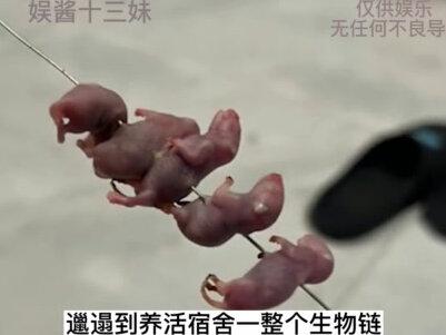 怎么不算是人类免疫系统进化史的一个奇迹呢 #娱乐评论大赏 #大学生 #脚气 #真菌感染 #万万没想到