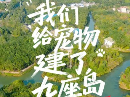 解放天性,逃离城市圈养!
300亩九岛相连!
上海首家宠物冒险主题乐园即将开园!
勇士们!欢迎登岛!#宠物乐园 #宠物公园 #狗狗 #上海美好推荐官