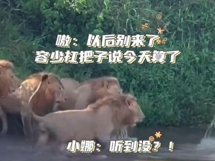 确认过眼神 娜爹没白养你们🥰
#荣嘉少年团