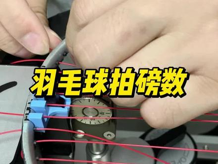 你了解羽毛球拍的磅数吗?你知道磅数怎么选择吗?看完你就知道了#羽毛球拍 #羽毛球 #羽毛球教学 #羽毛球知识