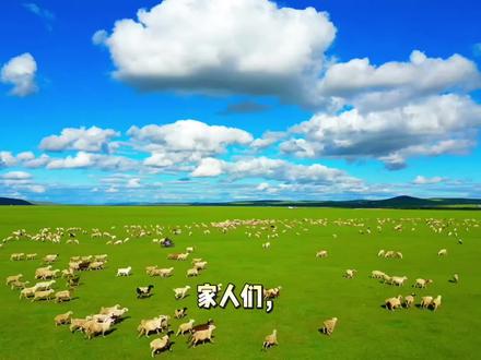 河北坝上的草原这么多,您来对您心中的草原了吗?欢迎评论区留言 #张北草原天路 #赛罕坝 #京北第一草原 #乌兰布统大草原