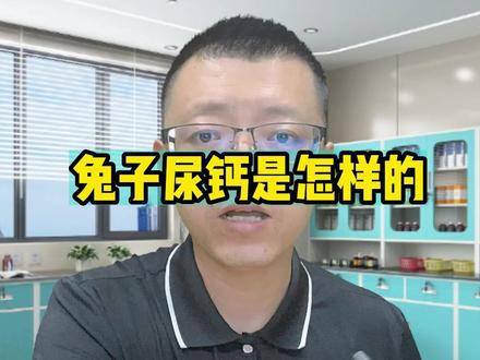 兔子尿钙是怎样的 #宠物兔