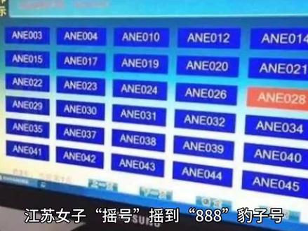江苏女子摇号摇到888豹子号,最后放弃