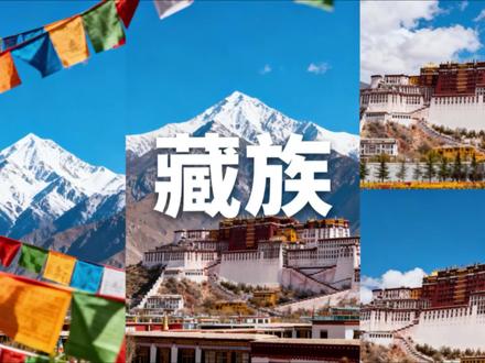 藏族是怎样的民族 #西藏 #少数民族 #中国历史
