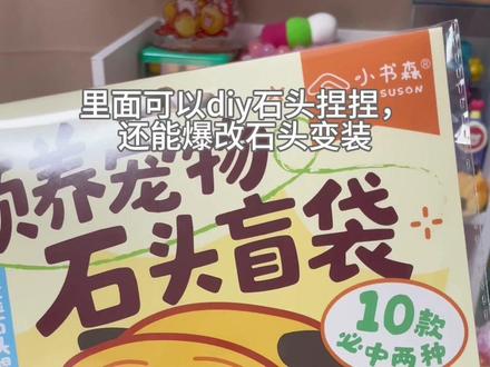领养宠物石头是种怎样的体验?#宠物石头 #盲袋 #拆盲盒