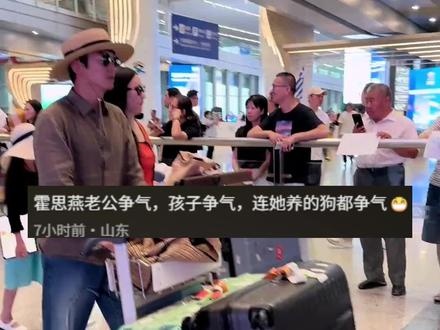 霍思燕杀疯国际犬展,私下更是生命守护者#霍思燕 #比格犬 #杜江 #犬展