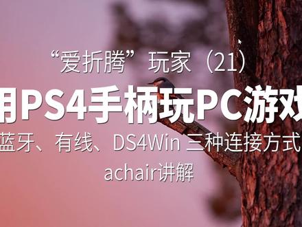 用PS手柄玩PC游戏(蓝牙,DS4Win,有线连接)