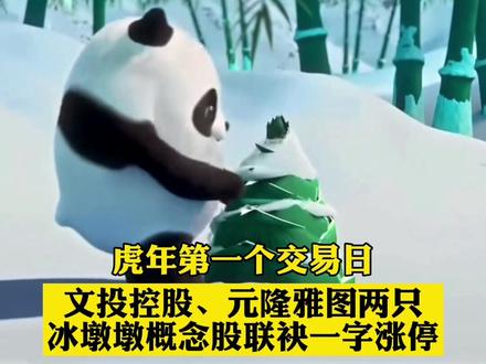 #冰墩墩概念股火了 #两只冰墩墩概念股涨停 #股民