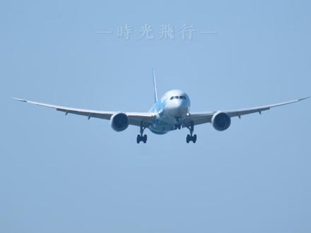 南航停飞全部波音787-8飞机 #飞机 #民航 #航空 #追飞机的人 #一起看飞机
