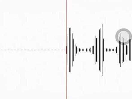 白鹿520電話錄了一個音#语音录音 #录音模式 #录音实时转写