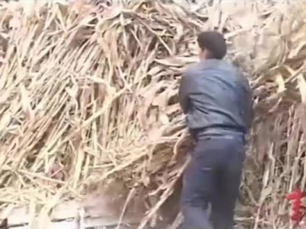 原来,大衣哥也曾经“北漂”过,挣来辛苦钱,不舍得吃不舍得花,全都拿去找老师学唱歌,用打工血汗钱,养活自己的音乐梦。不图名利,只为一辈子喜欢的音乐梦想,默默坚持很多年,才有今天的南天门大将军。 #大衣哥朱之文 #大衣哥 #真实生活分享计划 #北漂 #你就是朱之文