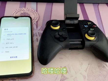 爱吾的NS模拟器如何映射手柄#教程来了 #NS模拟器