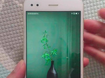华为手机关闭这个功能,能节省不少流量哦#锁屏壁纸 #杂志封面