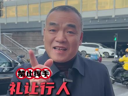 礼让行人也要注意方式方法,要不然可能面临天价赔偿? #礼让行人 #交通事故 #交通事故律师 #抖来普法2025