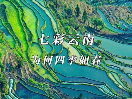 云南为何总是四季如春呢?#云南 #彩云之南 #云南旅游 #七彩云南