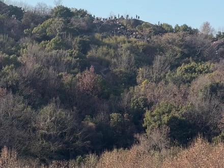 从白堤拍宝石山蛤蟆峰的人群,感受下iPhone17pro的长焦远摄效果。一公里开外,能见度一般情况下,眼睛看不清的,手机帮你看清。
#长焦远摄 #长焦镜头