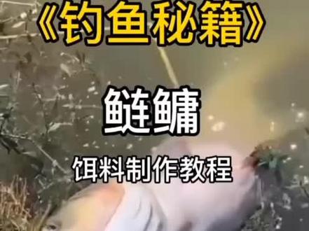 在家都能制作鲢鳙饵料配方,点赞收藏保存。#分享钓鱼知识#