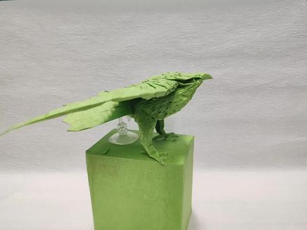 折纸隼,去年拍的教程,现在补上#折纸 #手工 #简单