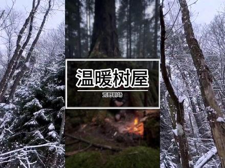 冰天雪地的绝境里,一棵倒下的大树就是天赐的生机。砍枝、搭架、铺雪保暖,亲手打造的庇护所,足以抵御整片森林的严寒 #荒野建造 #助眠 #解压视频