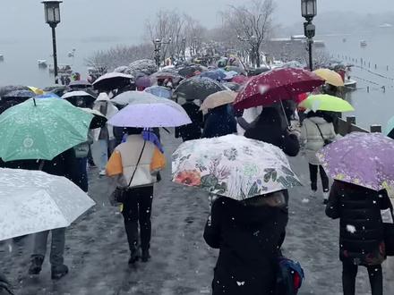 杭州又下大雪了!#杭州下雪了 #杭州西湖雪景 #断桥残雪 #浪漫永远属于杭州 #遇见美好杭州