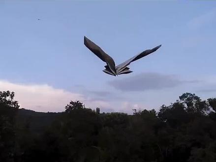 还原度最高的仿生纸飞机,像不像真的雄鹰#纸飞机 #折纸 #手工 #我要上热门