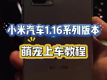 小米汽车1.16系列版本 萌宠上车教程! #小米汽车ota