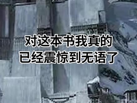 对这本书我真的已经震惊到无语了#小说 #网文