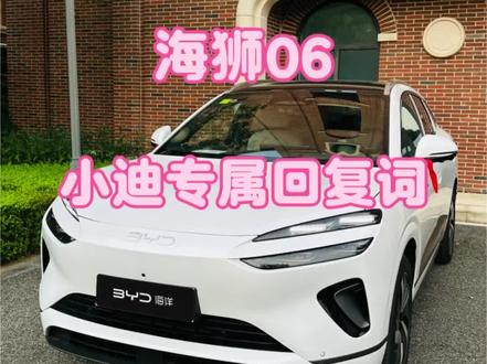 小迪专属语音回复,你们都设置了吗?#比亚迪 #海狮06 #每天一个用车知识 #比亚迪海洋车主说 #比亚迪海洋聚浪汇