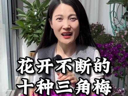 花开不断的十种三角梅#花卉绿植#三角梅#养花