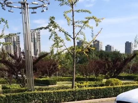 过减速带时经常出现异响,是这里出了问题!@抖音汽车 @抖音小助手 #懂车小知识