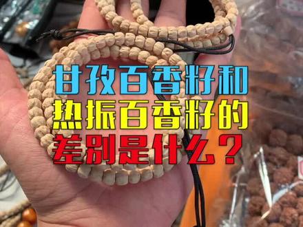 甘孜籽和热振籽有什么区别@小撸聊文玩儿 #文玩