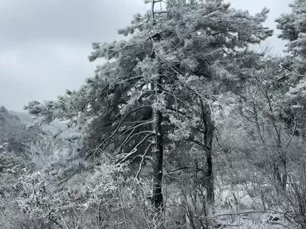 2026.12.25绿春湖初雪,美不胜收!