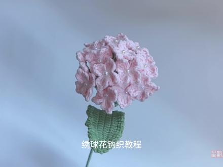绣球花钩织视频教程 🧶:四股线
钩针:2.0mm
#手工 #钩针编织 #毛线钩织 #花 #我的手工日常