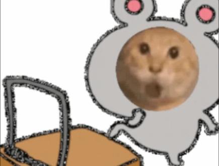 教你们制作耄耋猫咪表情包
#耄耋猫 #蜘蛛耄耋