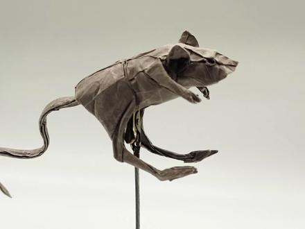 教你折一只逼真的跳鼠(第一部分) #折纸 #创意手工 #手工 #艺术